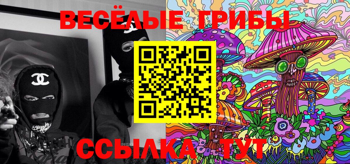 Псилоцибиновые грибы прущие грибы Сафоново
